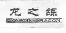 龙之练;LOVE IN DRAGON