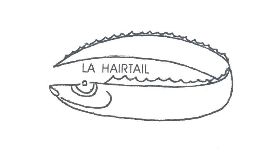 LA HAIRTAIL