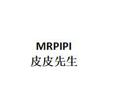 皮皮先生 MRPIPI