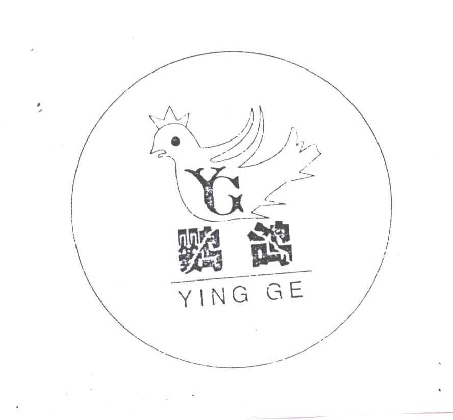 鹦鸽