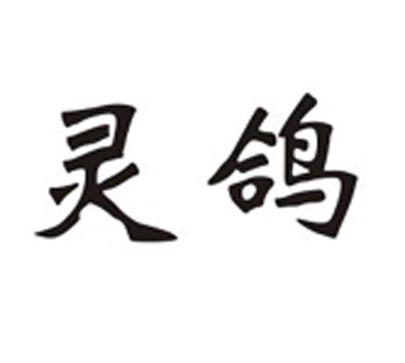 灵鸽