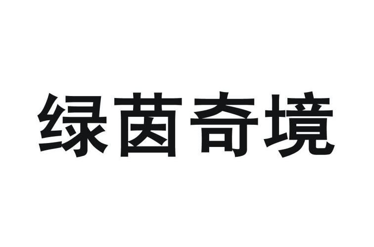 绿茵奇境