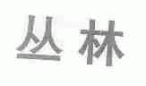 丛林