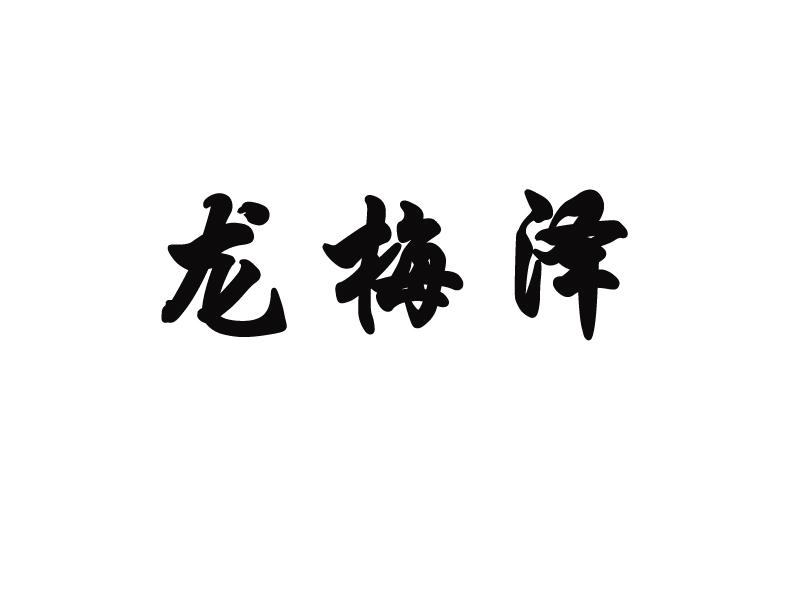 龙梅泽