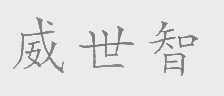 威世智