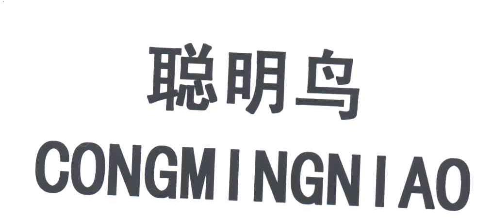 聪明鸟