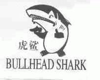 虎鲨;BULLHEAD SHARK