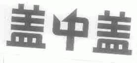 盖中盖