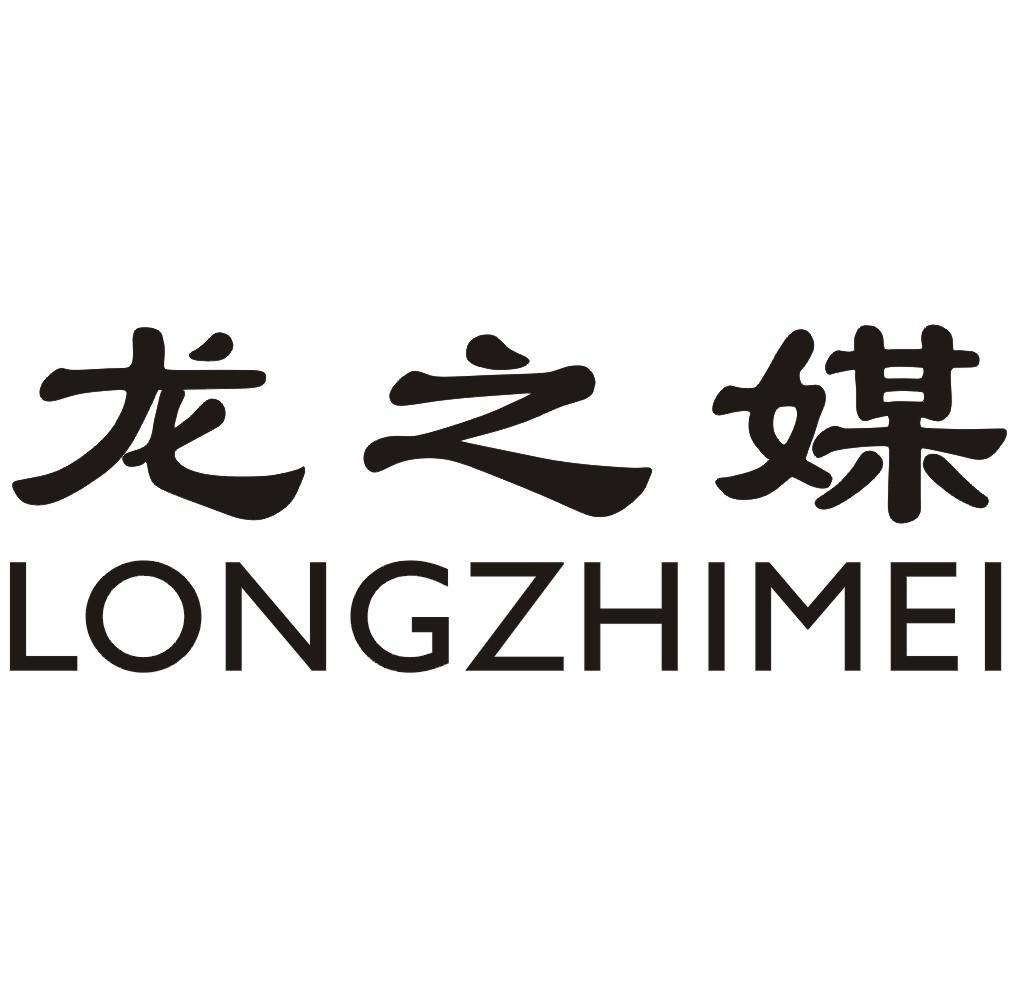 龙之媒