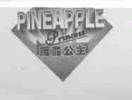 菠萝公主;PINEAPPLE PRINCESS