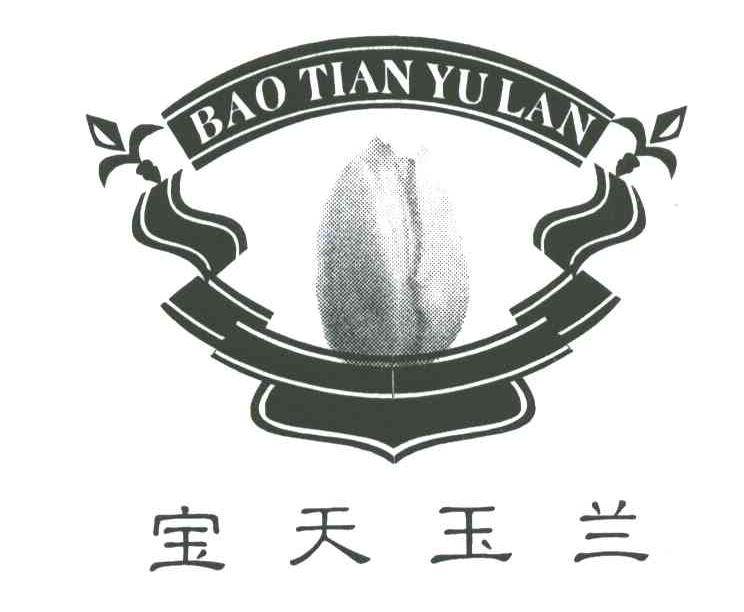 宝天玉兰