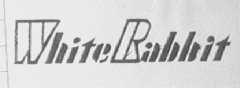WHITE RABBIT