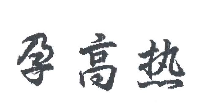 孕高热