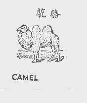 骆驼   CAMEL