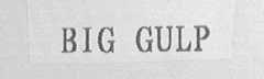 BIG GULP