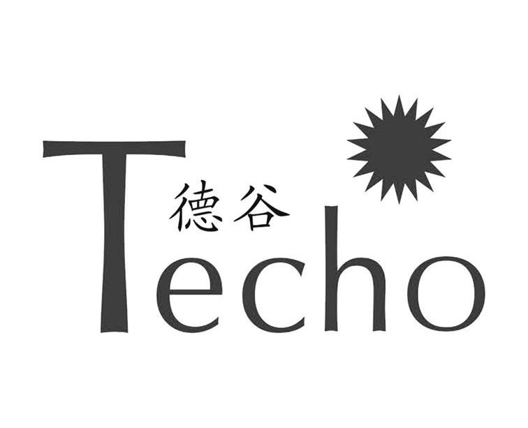 德谷 TECHO