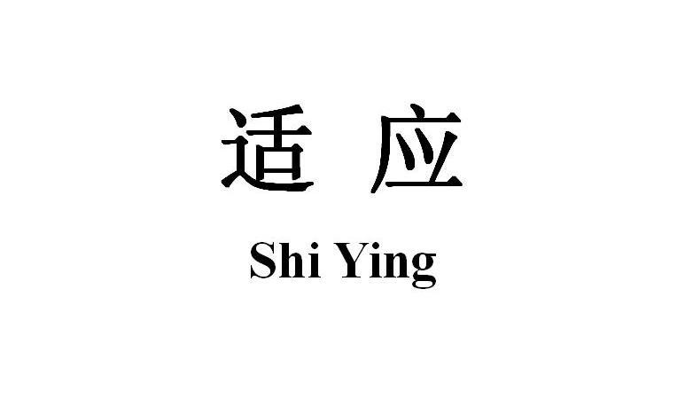 适应