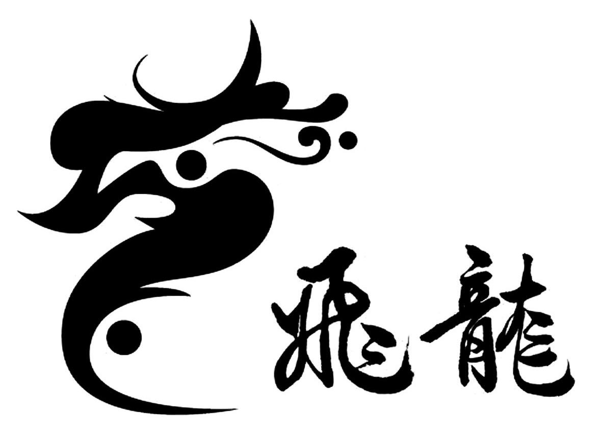 飞龙
