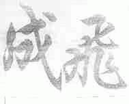 成飞