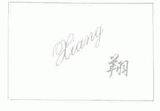 翔