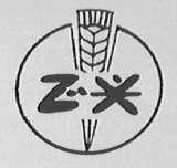 正兴