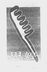 思婷