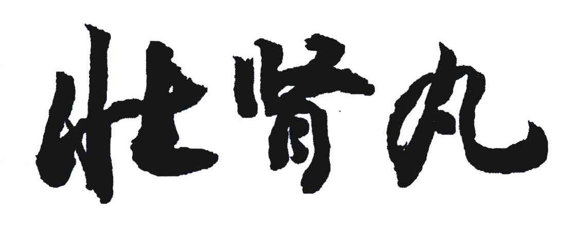 壮肾丸