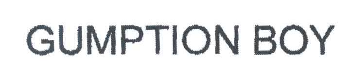 GUMPTION BOY