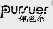 佩色尔  PURSUER