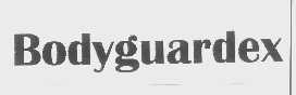 BODYGUARDEX