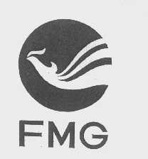 FMG