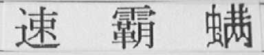 速霸螨
