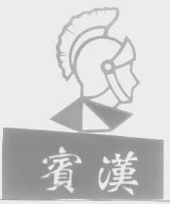 宾汉