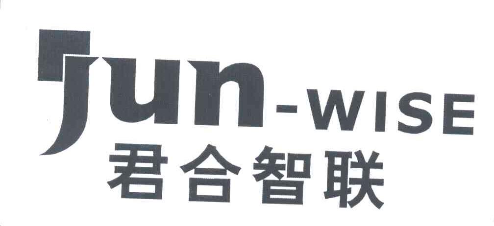 君合智联;JUN WISE