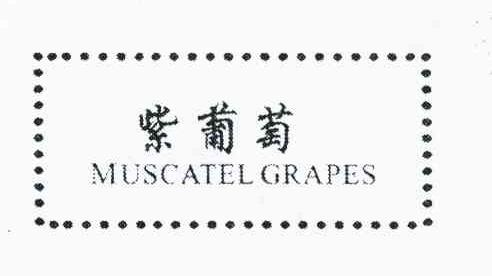 紫葡萄 MUSCATEL GRAPES