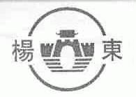 杨东