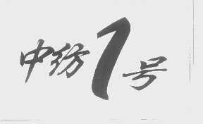 中纺一号