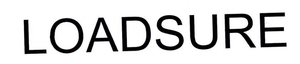 LOADSURE