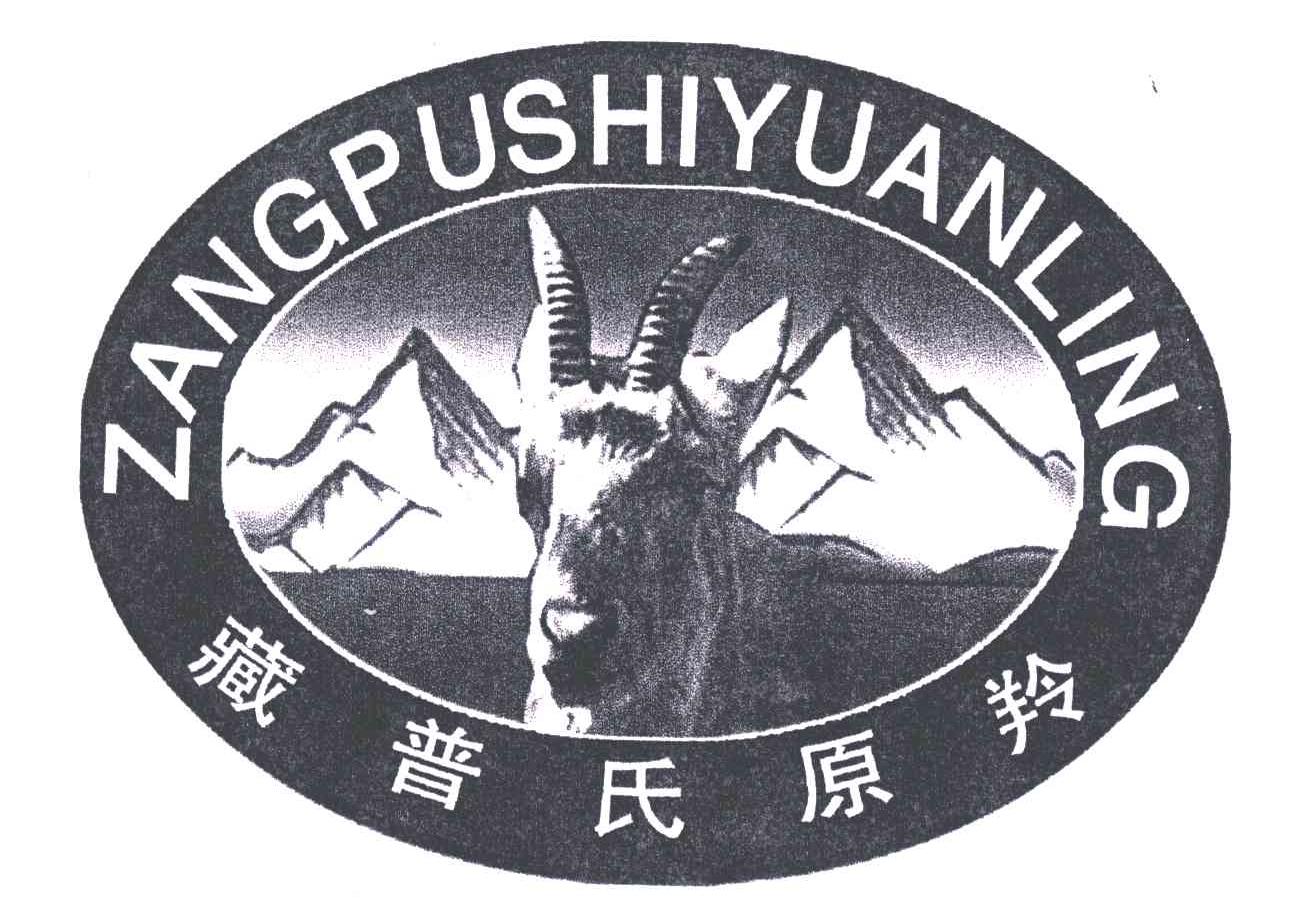藏普氏原羚