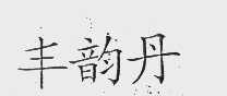 丰韵丹