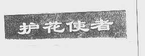 护花使者