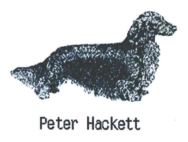 PETER HACKETT