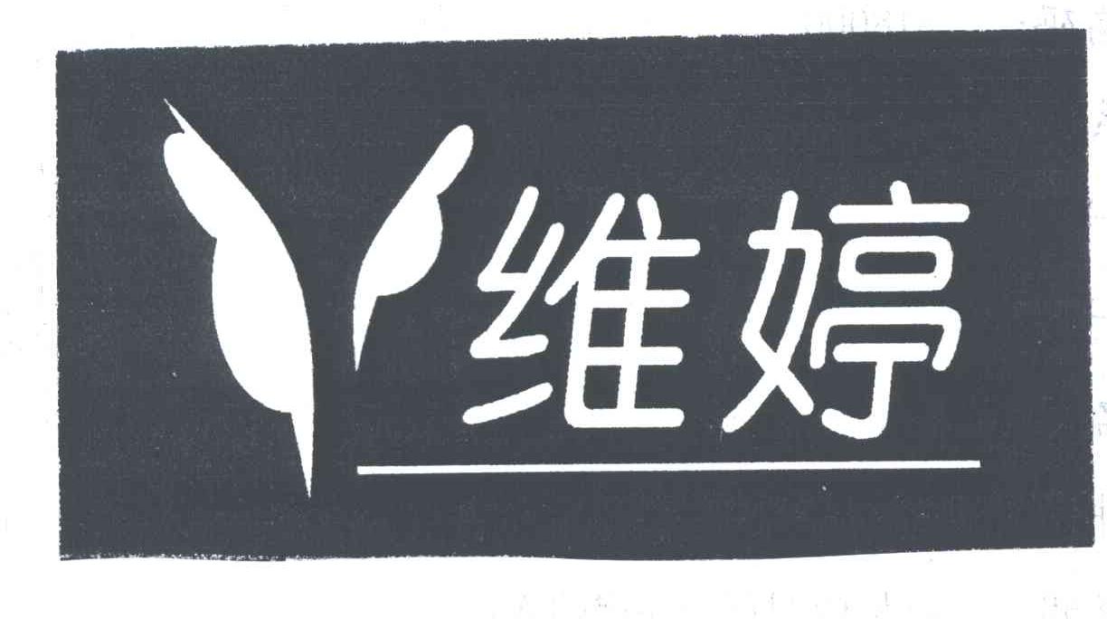 维婷