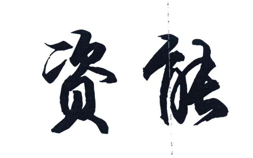 资能