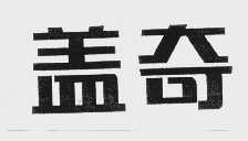 盖奇