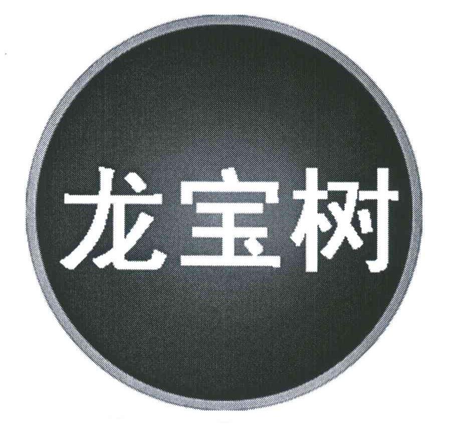 龙宝树