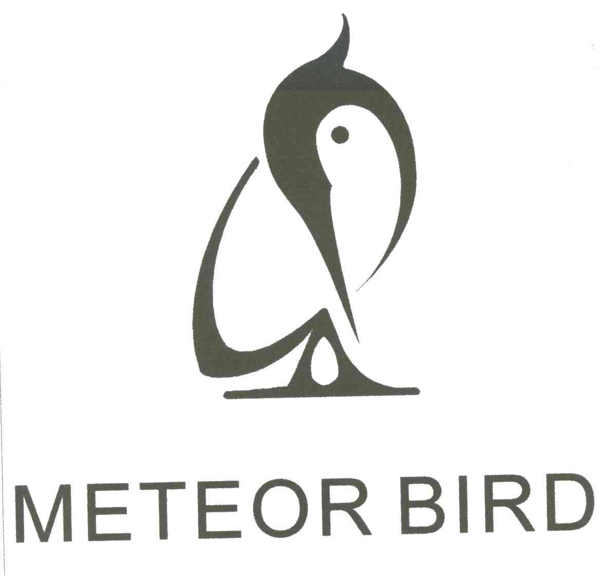 METEOR BIRD及图形