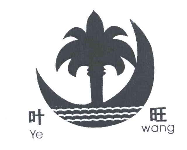 叶旺;YE WANG