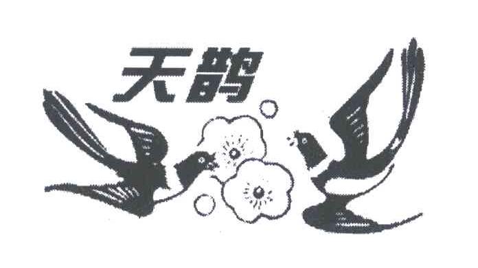 天鹊