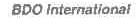 BDO INTERNATIONAL